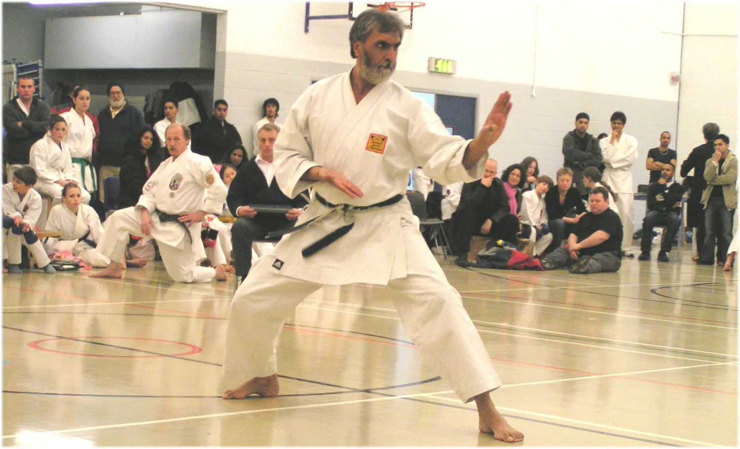 Mehar Brar demonstrating a Shotokan Karate posture