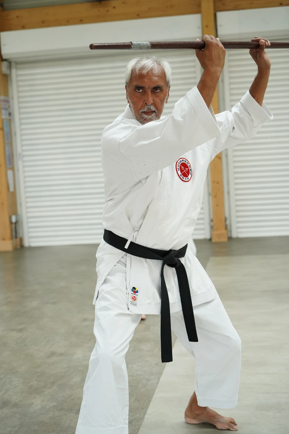 Mehar Brar demonstrating a Shotokan Karate technique