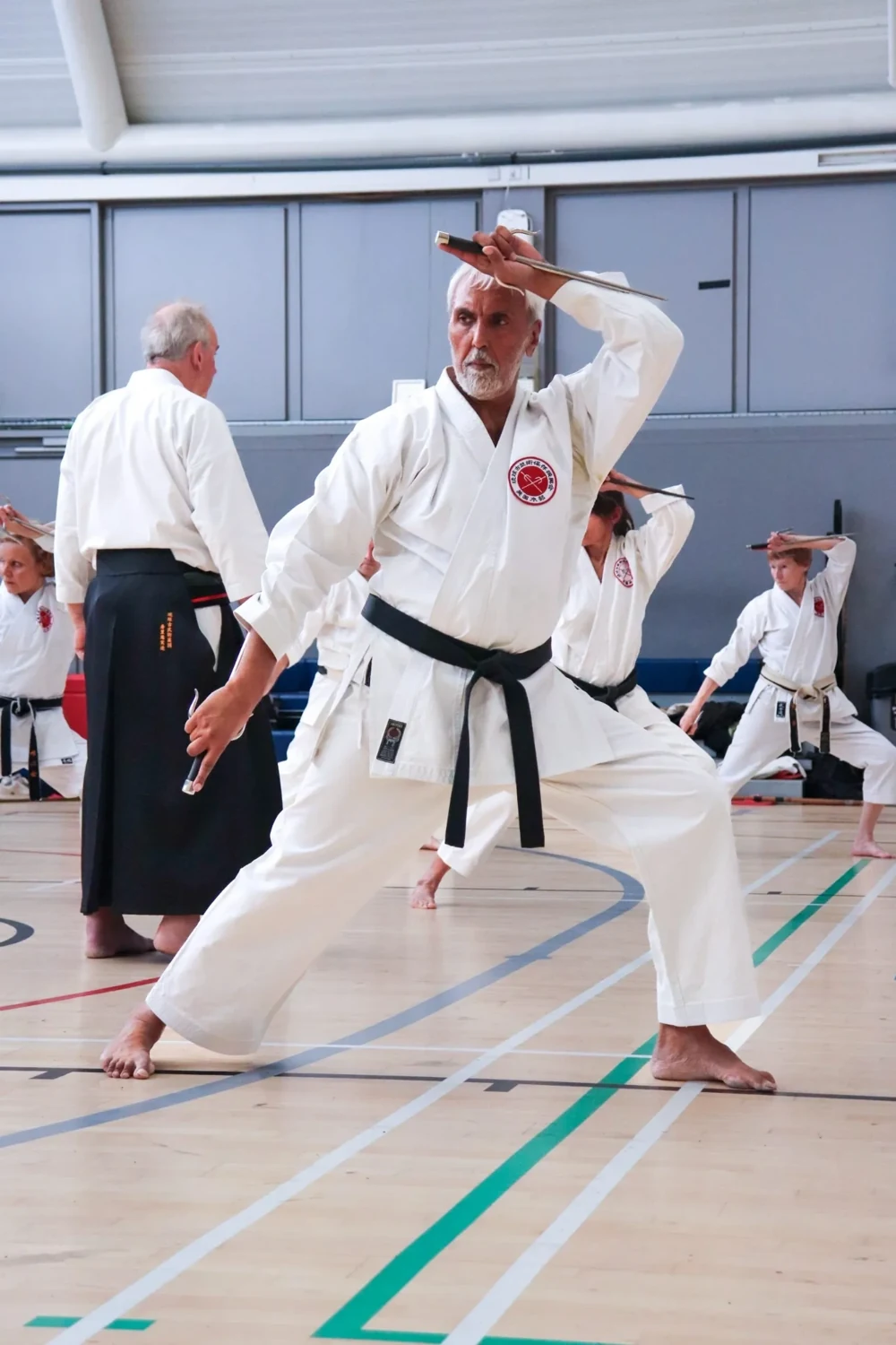 A practitioner studying Sai with others in a training hall
