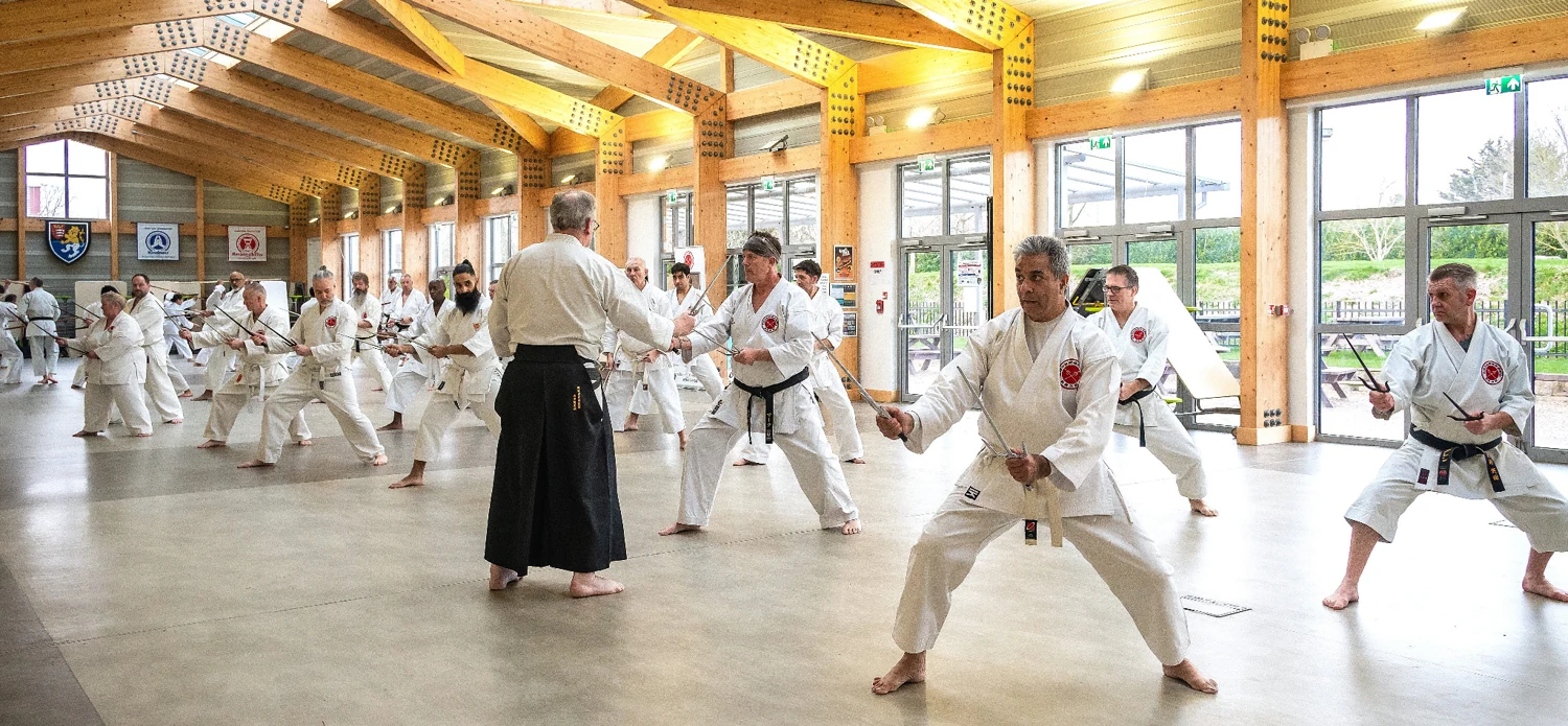 Julian Mead Shihan leading Sai study at a previous course
