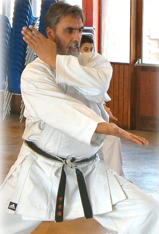 Karate: Mehar Brar demonstrating a Shotokan technique