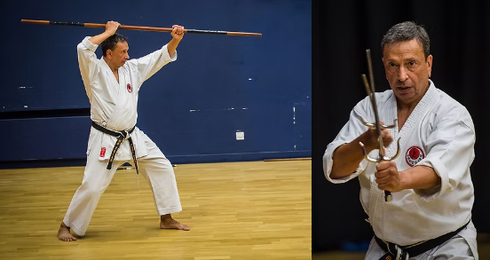Bo and Sai demonstrations